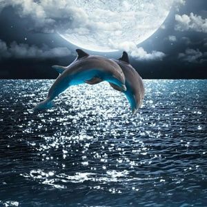 Meet your Posher, Lancene